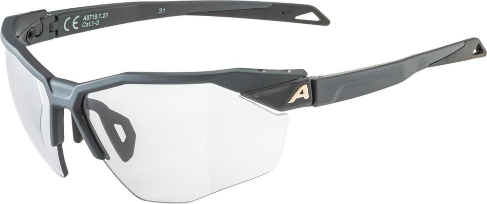TWIST SIX HR V Sportbrille Alpina 468821300086 Grösse Einheitsgrösse Farbe anthrazit Bild-Nr. 1