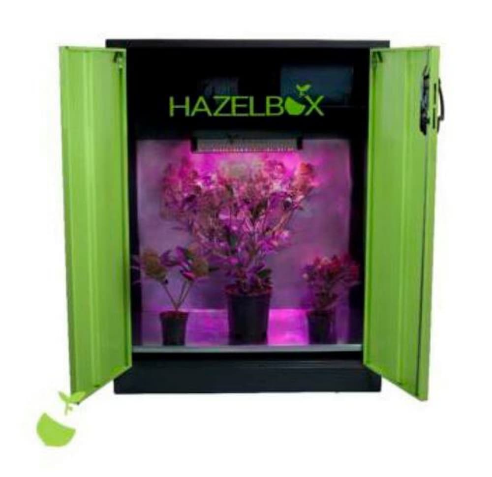 Hazelbox Compact Growbox Hazelbox 631432700000 N. figura 1