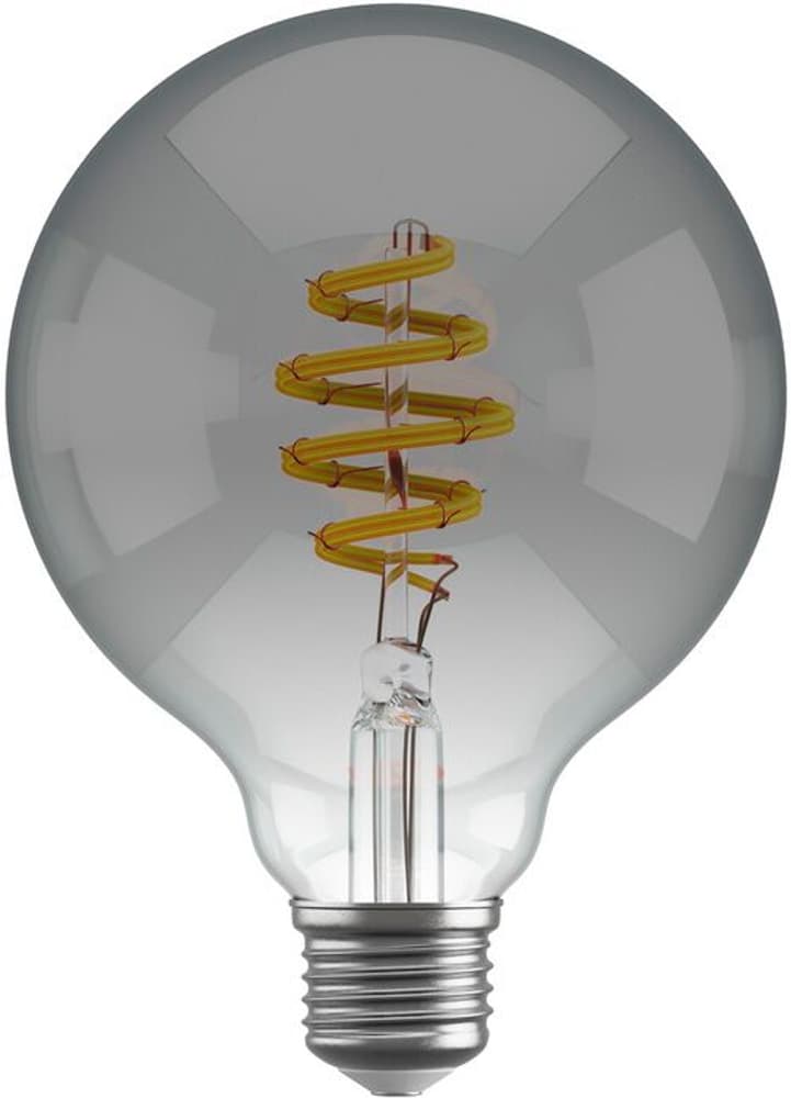 Filament Bulb CCT E27 G95 - smokey Leuchtmittel Hombli 785300169084 Bild Nr. 1