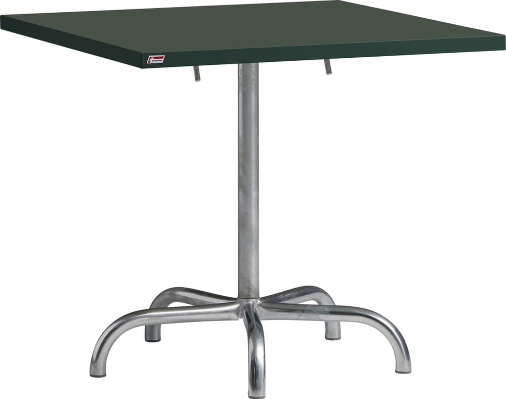 SÄNTIS Table pliante Schaffner 408025100063 Dimensions L: 80.0 cm x P: 80.0 cm x H: 72.0 cm Couleur Vert foncé Photo no. 1