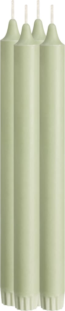 ORGANIC Bougie bâton 441586300000 Couleur Vert clair Dimensions H: 24.0 cm Photo no. 1
