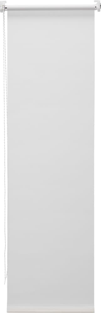 EXCELLENCE BIANCO Tenda a rullo 430748004210 Colore Bianco Dimensioni L: 43.0 cm x A: 130.0 cm N. figura 1