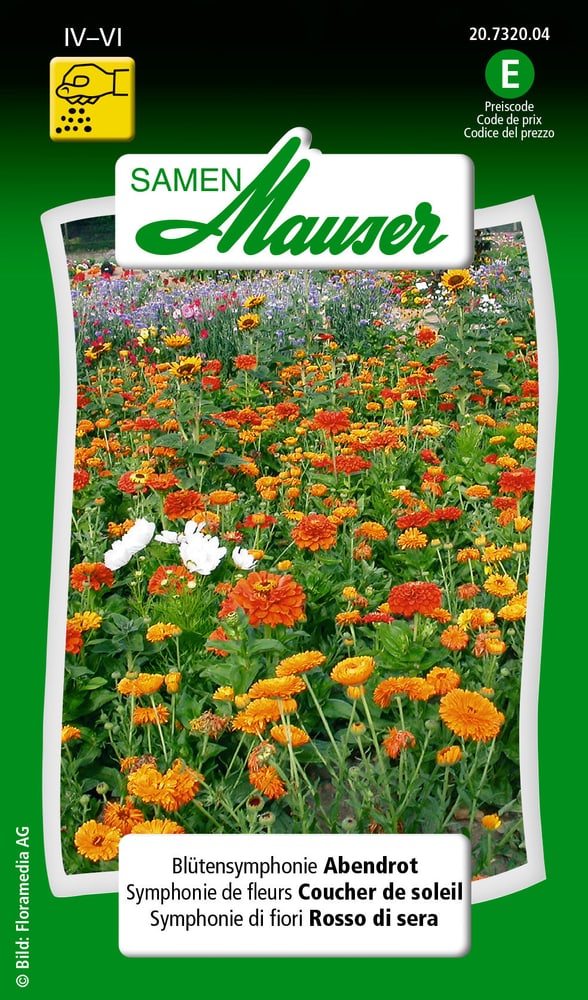 Blütensymphonie Abendrot Blumensamen Samen Mauser 650101601000 Inhalt 5 g (ca 3 m²) Bild Nr. 1