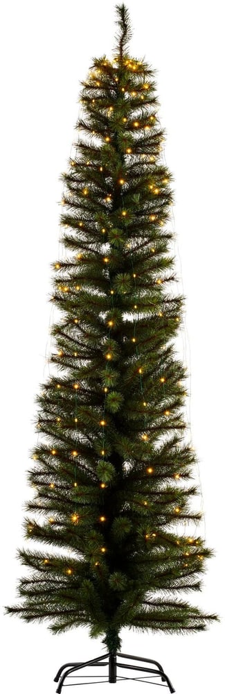 Weihnachtsbaum Alvin, 210 cm, 273 LEDs, Grün Kunstbaum Sirius 785302412438 Bild Nr. 1