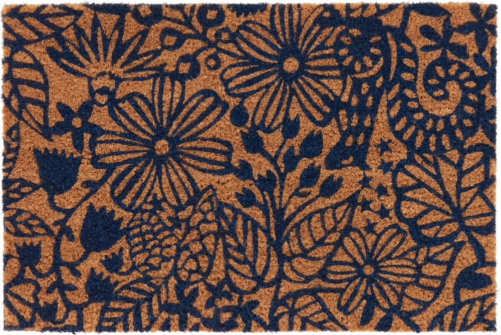 ANDRIN Fussmatte 412044210040 Farbe blau Grösse B: 40.0 cm x T: 60.0 cm Bild Nr. 1