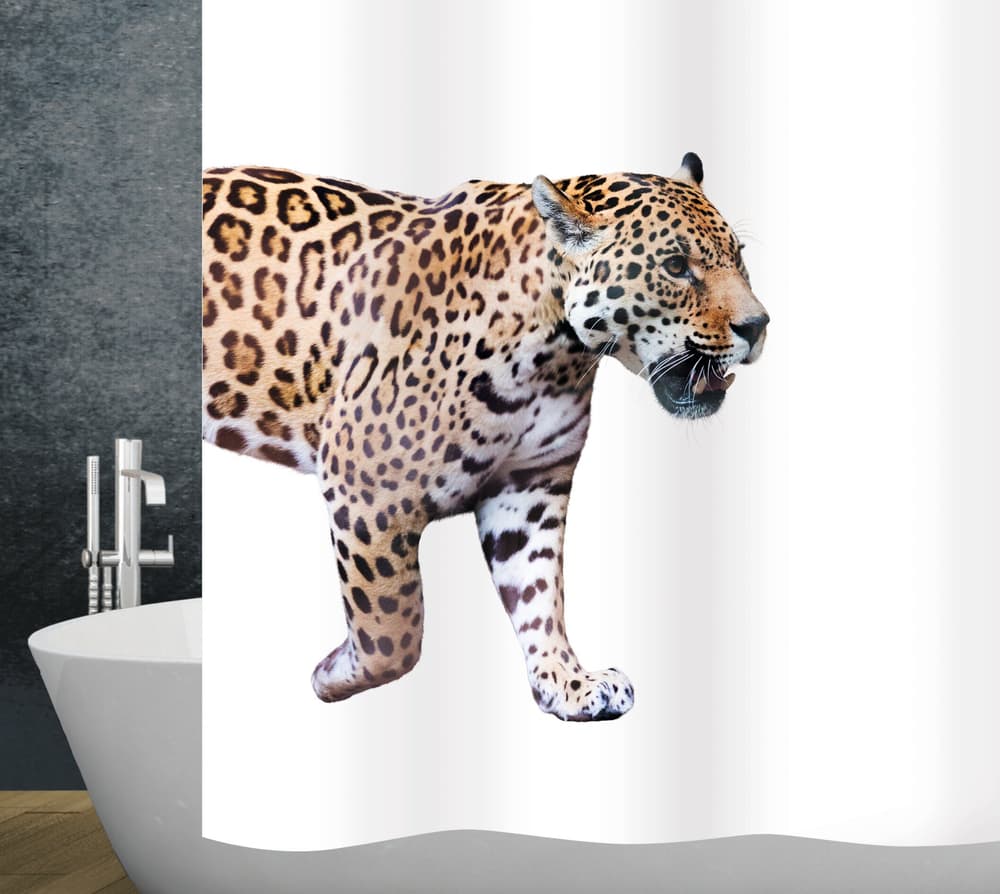 Duschvorhang Jaguar 120 x 200 cm Duschvorhang diaqua 674089200000 Farbe Weiss Grösse 120x200 cm Bild Nr. 1