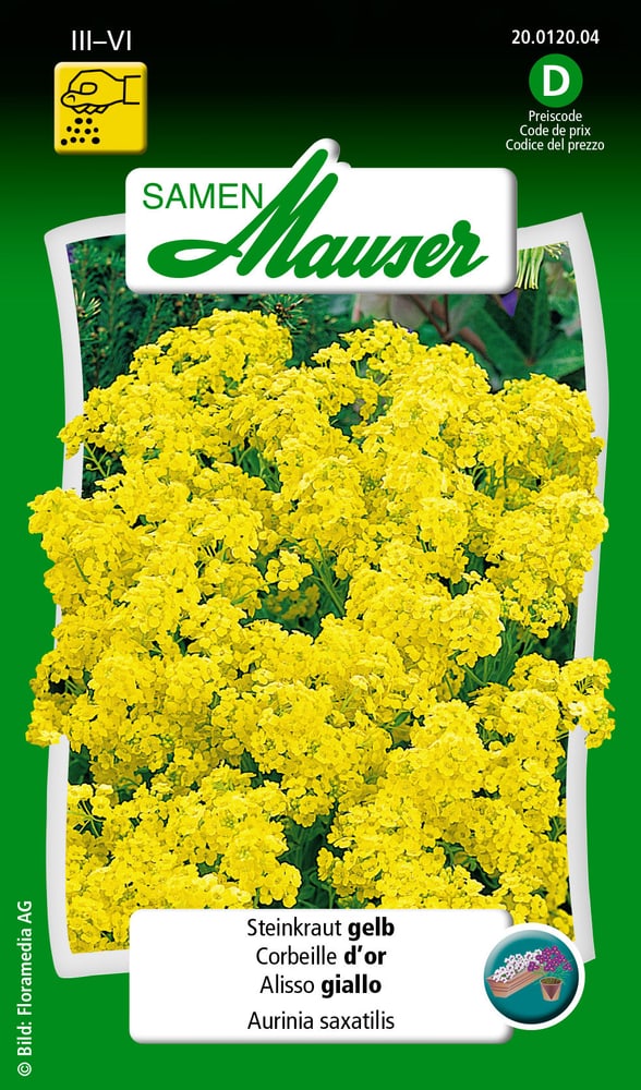 Corbeille d'or Semences de fleurs Samen Mauser 650100701000 Contenu 0.5 g (env. 80 plantes ou 4 - 6 m²) Photo no. 1
