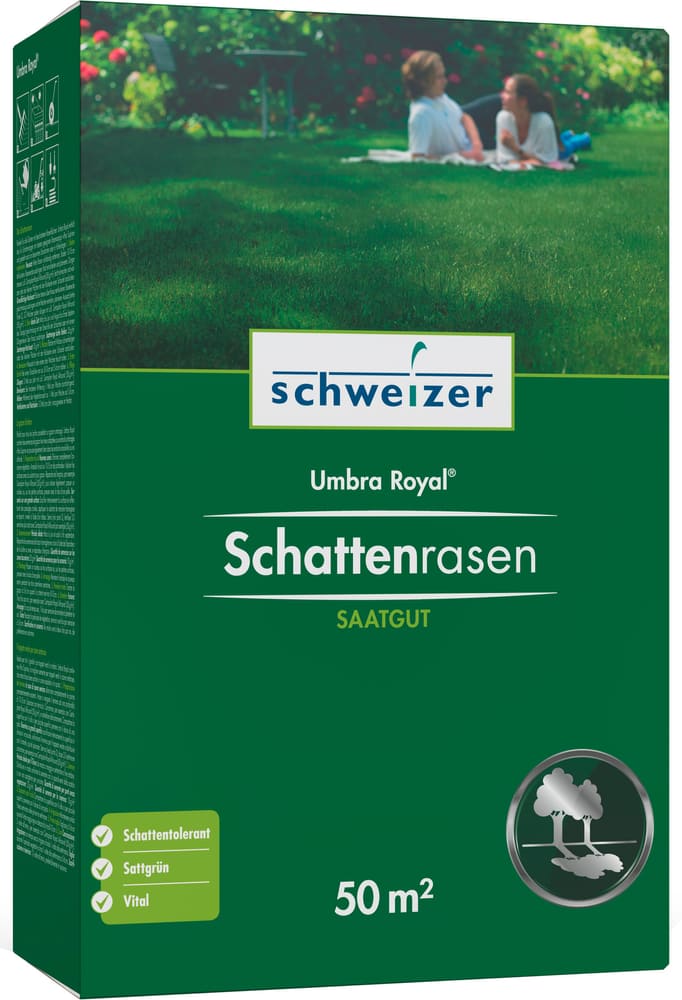 Tappeto verde per zone ombrose  - Umbra Royal, 50 m² Sementi per prato Eric Schweizer 659290300000 N. figura 1