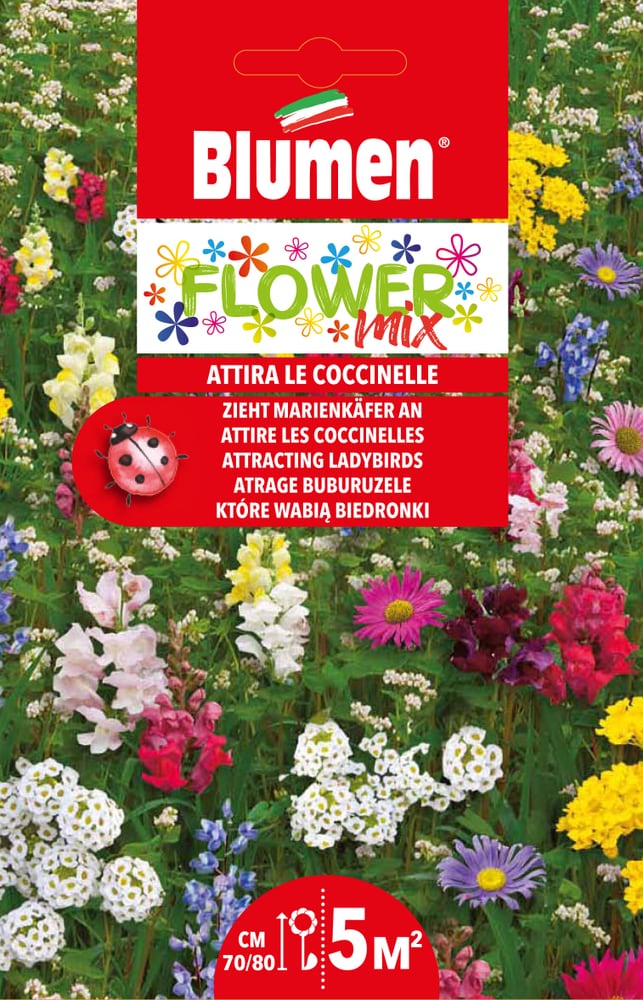Attire les coccinelles Semences de fleurs Blumen 650290400000 Photo no. 1