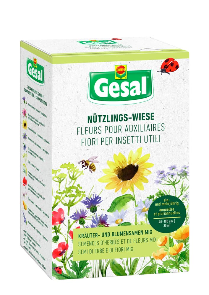 Fiori per insetti utili, 500 g Sementi per prato Compo Gesal 658249900000 N. figura 1