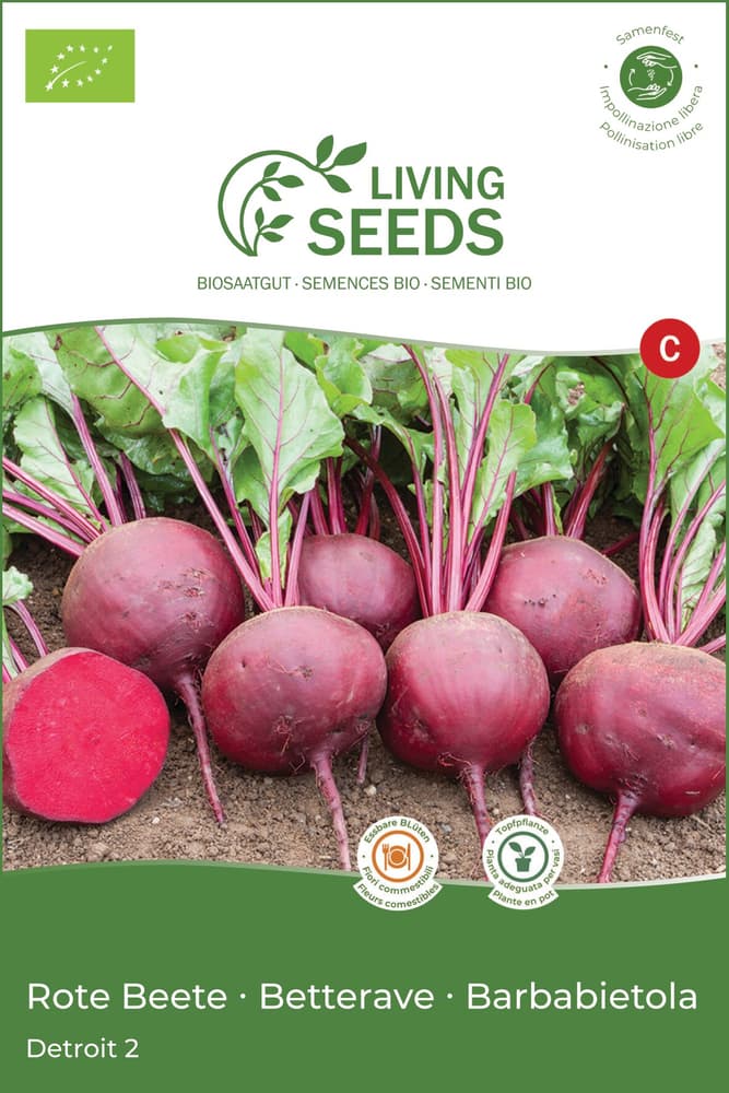 Betterave Detroit Semences de légumes Living Seeds 650277900000 Photo no. 1