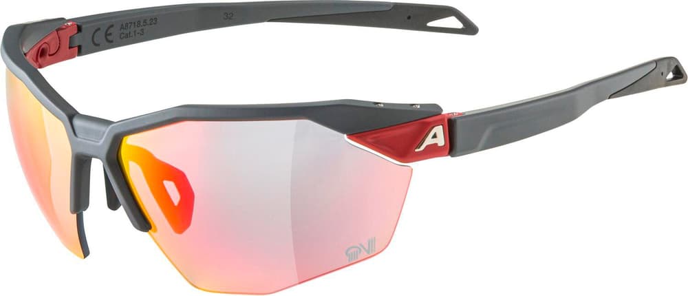 TWIST SIX HR QV Sportbrille Alpina 468821200033 Grösse Einheitsgrösse Farbe Dunkelrot Bild-Nr. 1