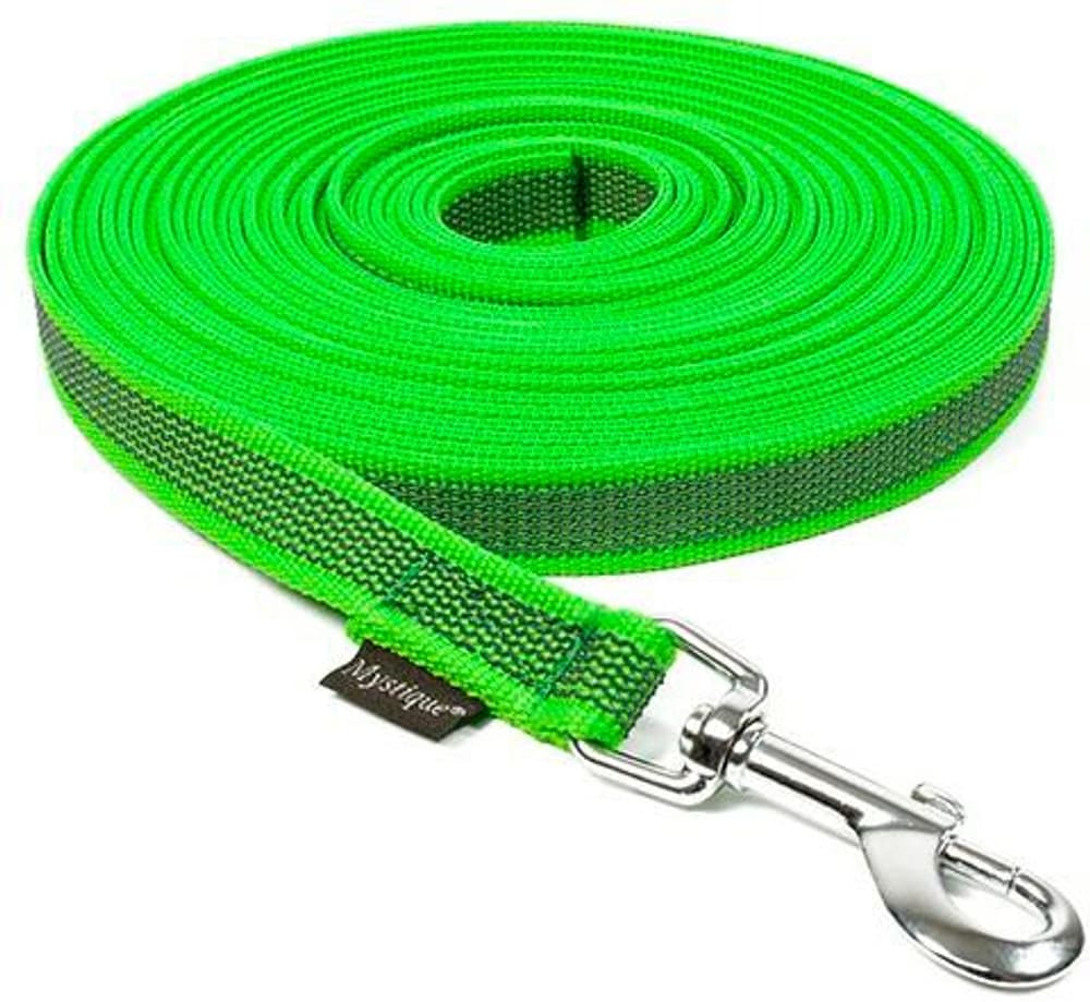 Nylon vert 10 m / 20 mm / avec boucle Laisse de remorque MYSTIQUE 669700103380 Photo no. 1