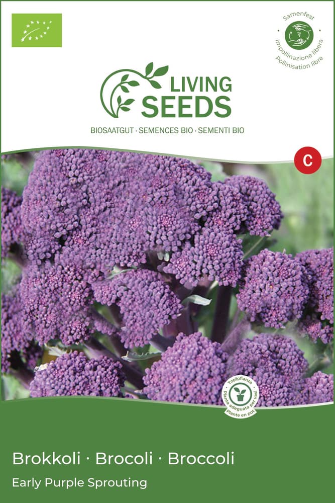 Brokkoli Early Purple Sprouting Gemüsesamen Living Seeds 650272700000 Bild Nr. 1