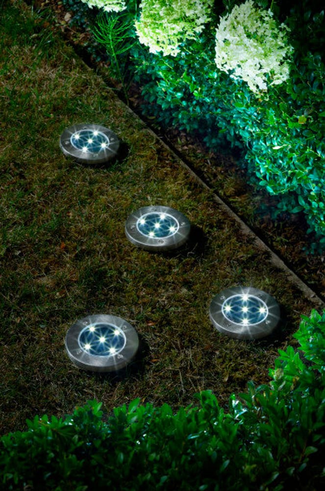 Lampada solare Up Light, 4 pezzi Lampada da terra Smart Garden 669700105638 N. figura 1