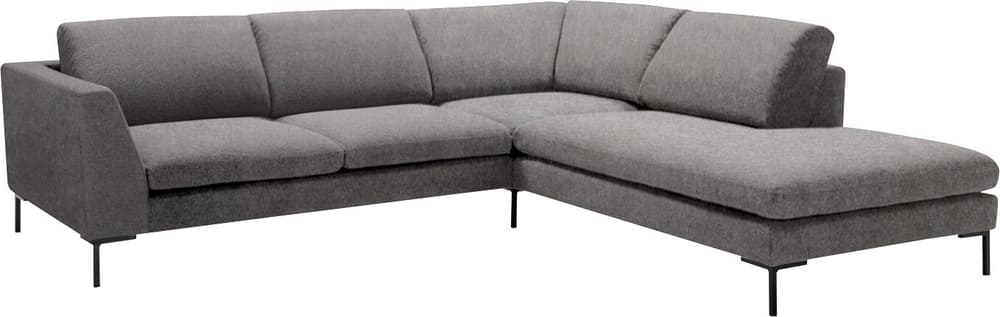 NEWTON Ecksofa NEWTON Ecksofa 405898350480 Grösse B: 262.0 cm x T: 242.0 cm x H: 80.0 cm Farbe Grau Bild Nr. 1