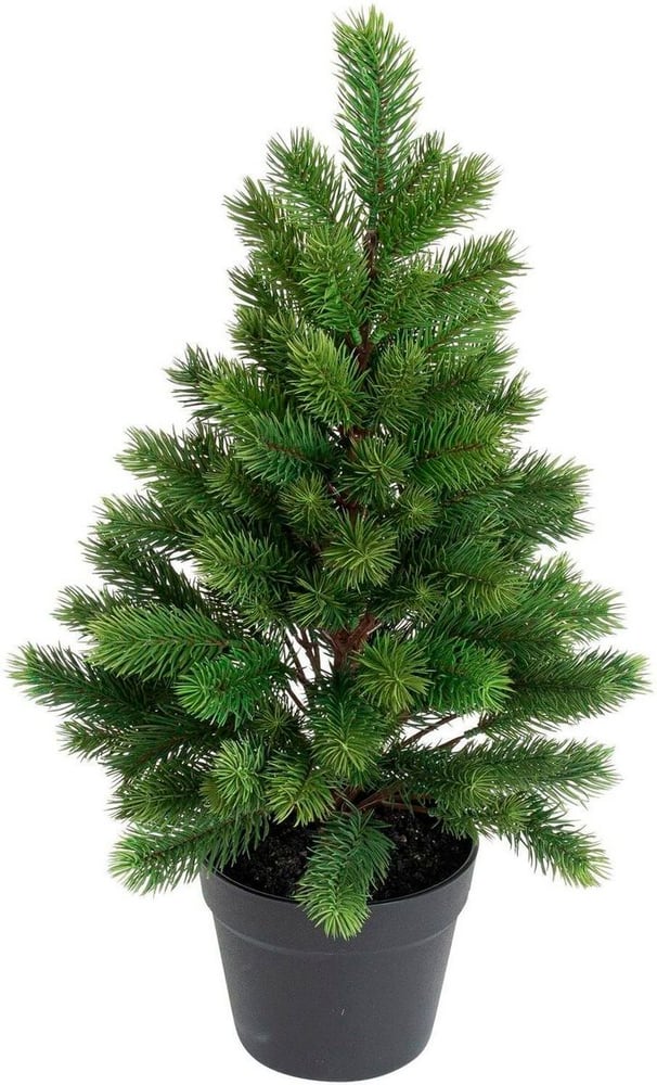 Weihnachtsbaum im Topf Höhe: 60 cm, Kunststoff, PE, Draht Weihnachtsbaum Botanic-Haus 785302444182 Bild Nr. 1