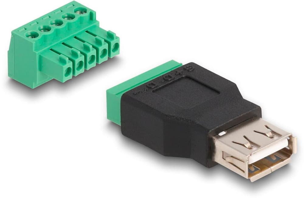 2.0 USB-A Buchse - Terminalblock USB Adapter DeLock 785302404995 Bild Nr. 1