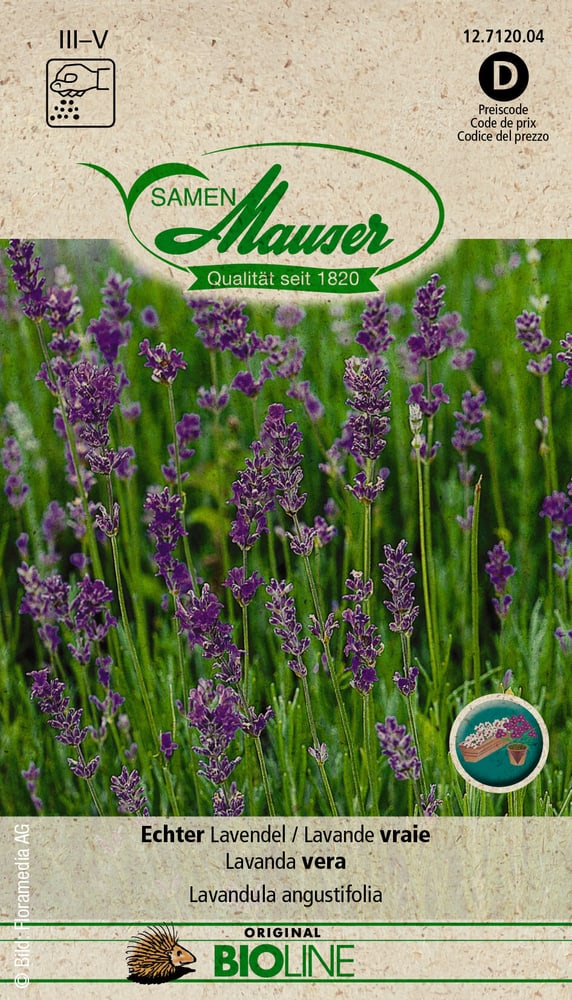 BIO Lavande vraie Semences d’herbes arom. Samen Mauser 650282500000 Photo no. 1
