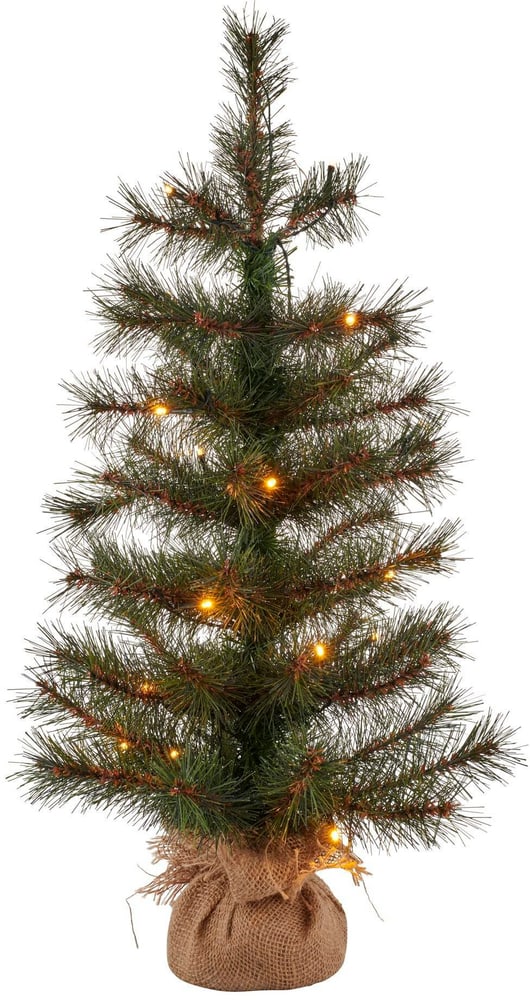 Sapin de Noël Alvin, 60 cm, 20 LEDs Arbre artificiel Sirius 785302412439 Photo no. 1