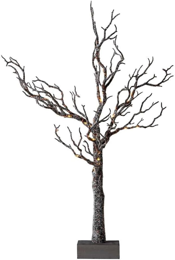 Baum Tora, 40 LEDs, 60 cm Kunstbaum Sirius 785302412448 Bild Nr. 1