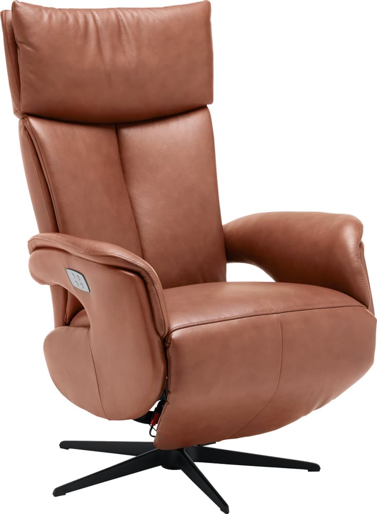 GÖTZ Fauteuil relax GÖTZ Fauteuil relax 403906100000 Dimensions L: 69.0 cm x P: 81.0 cm x H: 116.0 cm Couleur Marron clair Photo no. 1