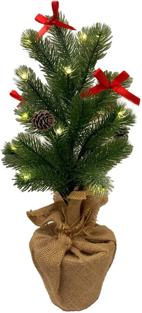 LED Weihnachtsbaum20x45cm 10 LED ww, inkl. Timer 6/18h, exkl. 2xAA Weihnachtsbaum Dameco 785302444473 Bild Nr. 1