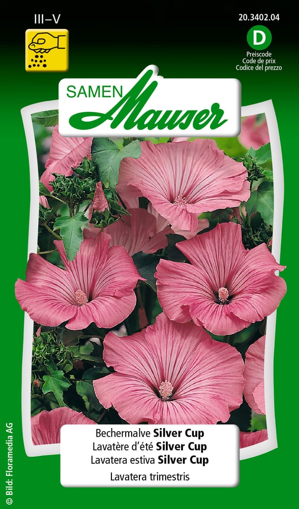 Lavatera estiva Silver Cup Sementi di fiori Samen Mauser 650104802000 Contenuto 1 g (ca. 50 piante o 4 - 5 m²) N. figura 1