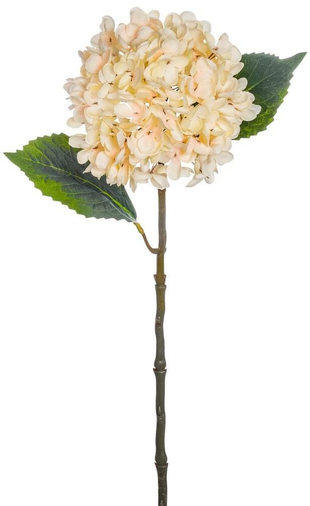 Hortensia Fleur artificielle Do it + Garden 656868400000 Dimensions L: 55.0 cm Photo no. 1