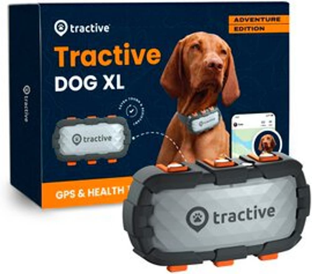 Traqueur GPS DOG XL Édition Aventure, Gris Traqueur d’animal de compagnie Tractive 785302433576 Photo no. 1