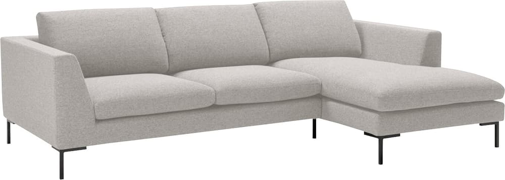 NEWTON Ecksofa NEWTON Ecksofa 405898350081 Grösse B: 250.0 cm x T: 155.0 cm x H: 80.0 cm Farbe Hellgrau Bild Nr. 1