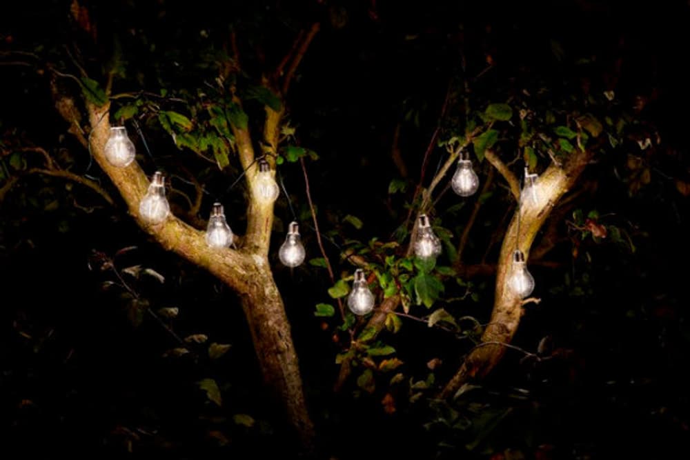 Eureka Retro String Lights Catena di luci Smart Garden 669700106132 N. figura 1