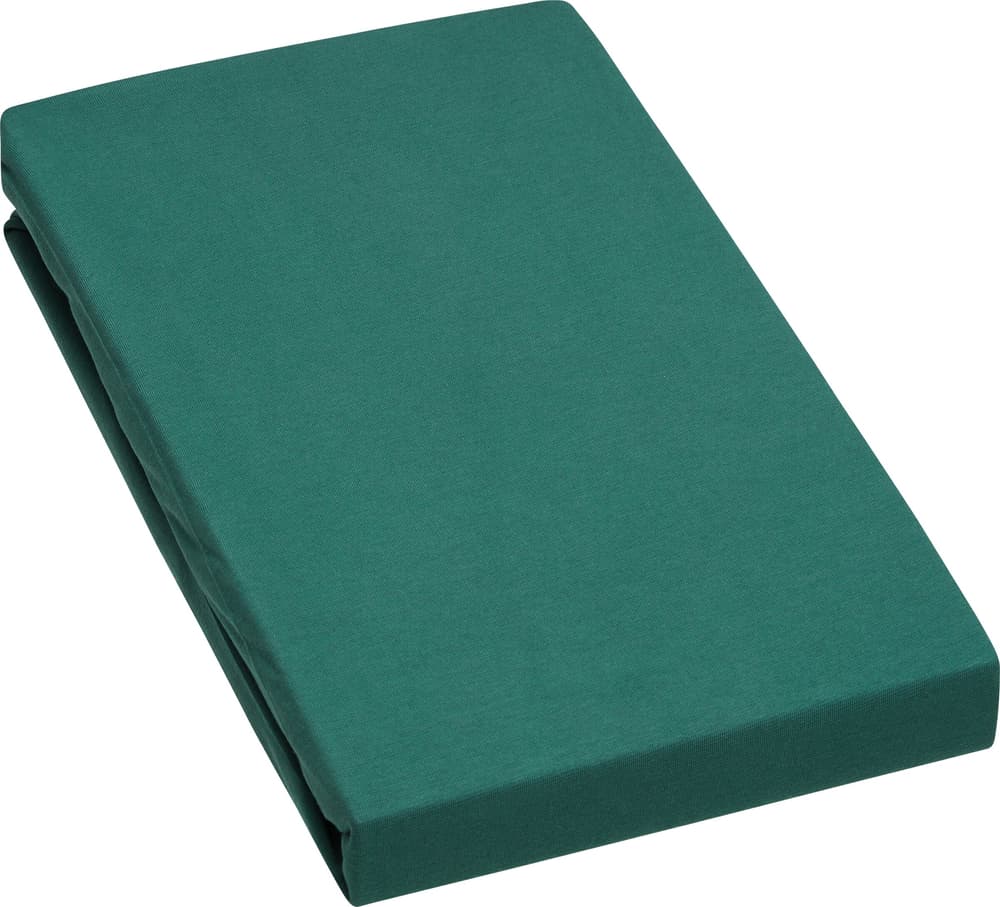 EVAN II Lenzuolo teso jersey stretch 451063430563 Colore verde scuro Dimensioni L: 180.0 cm x A: 200.0 cm N. figura 1