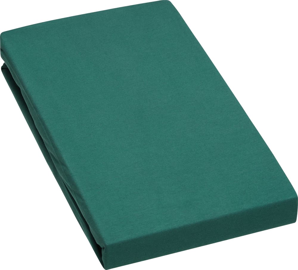 EVAN Lenzuolo teso jersey stretch 451053930563 Colore verde scuro Dimensioni L: 180.0 cm x A: 200.0 cm N. figura 1