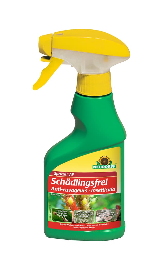 Spruzit AF Schädlingsfrei, 250ml Insektizid Neudorff 658423200000 Bild Nr. 1