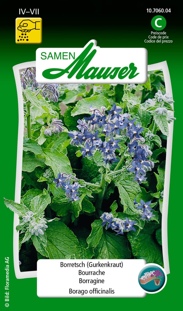 Bourrache Semences d’herbes arom. Samen Mauser 650109101000 Contenu 2.5 g (env. 5 m²) Photo no. 1