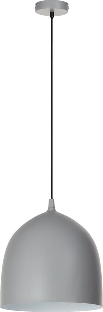 ALESSIO Lampe à suspension 420826500000 Dimensions L: 30.0 cm x P: 30.0 cm x H: 120.0 cm Couleur Gris Photo no. 1