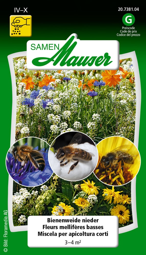 Fleurs mellifères basses Semences de fleurs Samen Mauser 650118403000 Contenu 5 g (env. 3-4 m² )  Photo no. 1