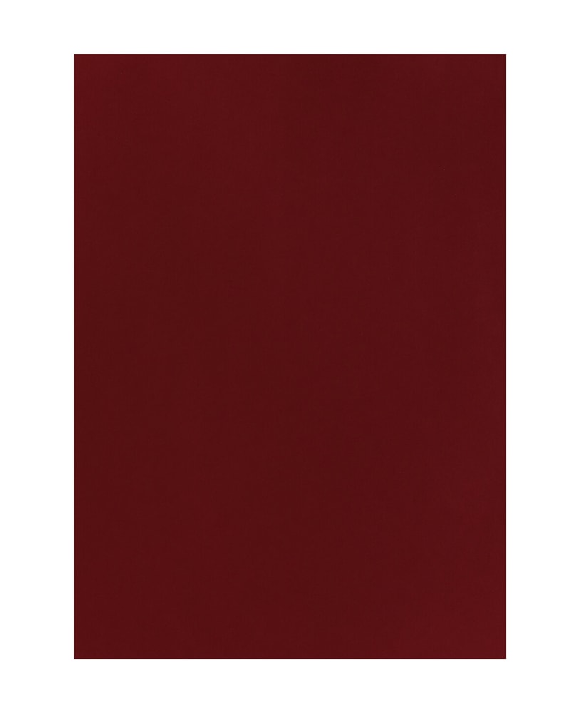 Carta Per Foto 50X70, Rosso Cartone fotografico 666541000080 Colore Rosso Dimensioni L: 50.0 cm x P: 0.05 cm x A: 70.0 cm N. figura 1