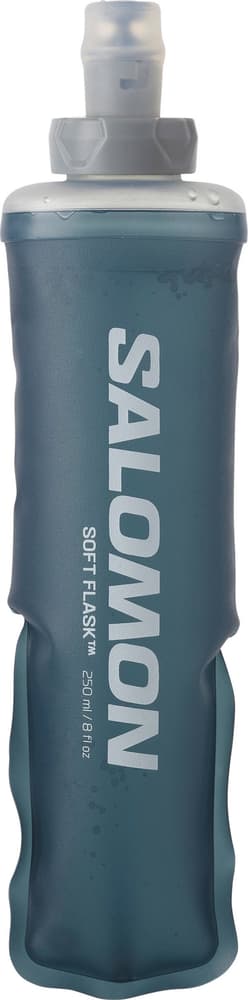 Soft Flask 250ml/8oz 28 Accessori per le soluzioni di idratazione Salomon 463614999980 Taglie One Size Colore grigio N. figura 1