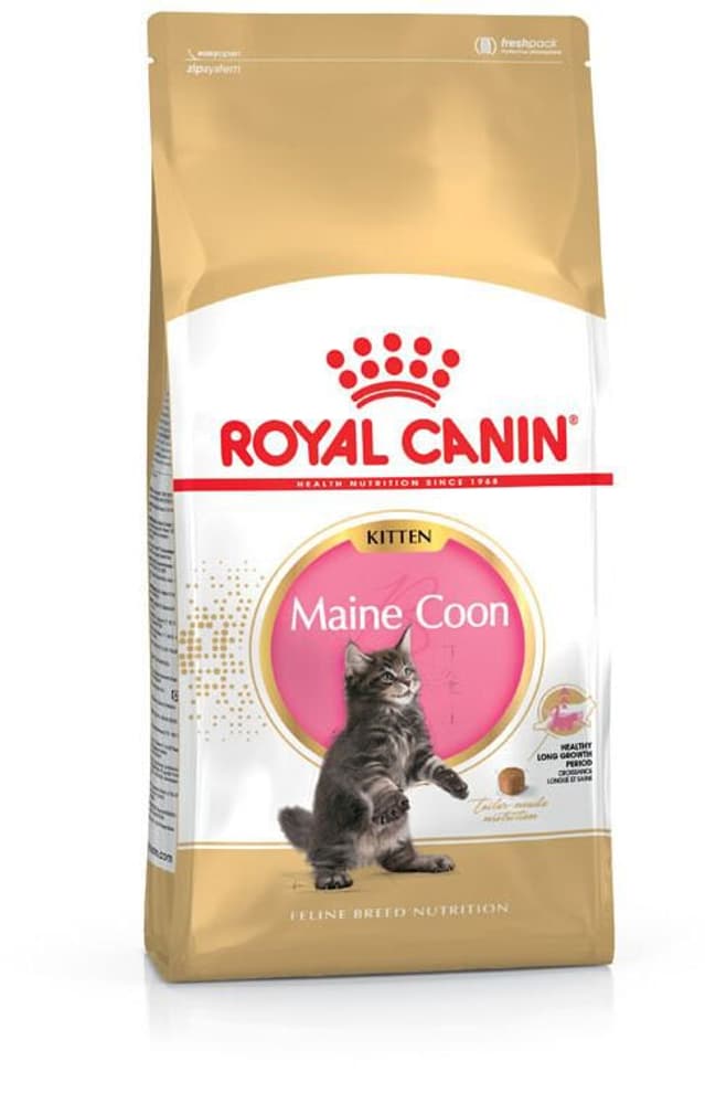 Kitten Maine Coon, 0.4 kg Aliments secs Royal Canin 658731600000 Photo no. 1