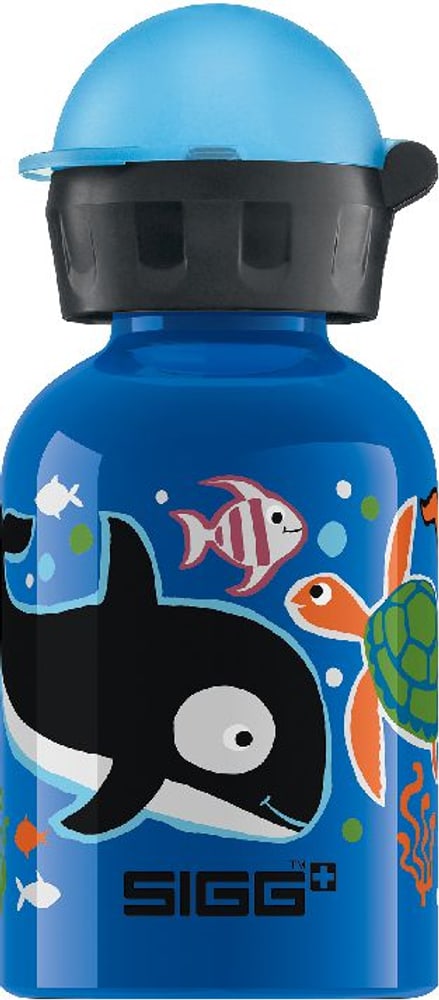 Seaworld Kinder-Trinkflasche 0.3 L Sigg 49126210000013 Bild Nr. 1