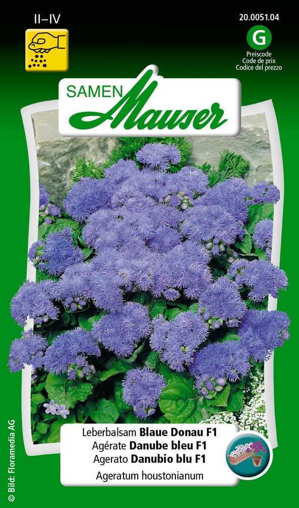 Agerato Danubio blu F1 Sementi di fiori Samen Mauser 650116901000 Contenuto 0.05 g (ca. 30 piante o 2 m²) N. figura 1