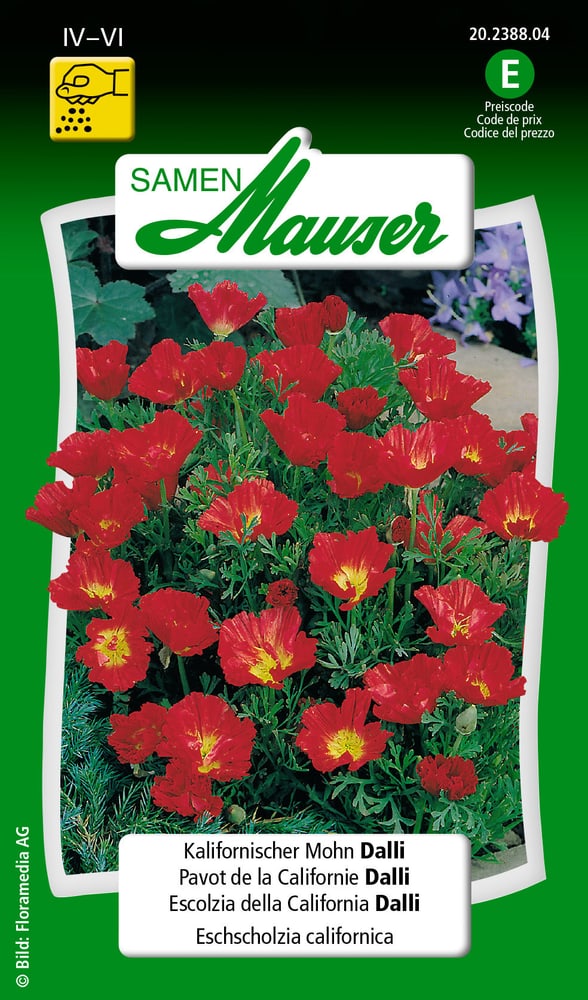 Kalifornischer Mohn  Dalli Blumensamen Samen Mauser 650103601000 Inhalt 0.25 g (ca. 100 Pflanzen oder 5 m²) Bild Nr. 1