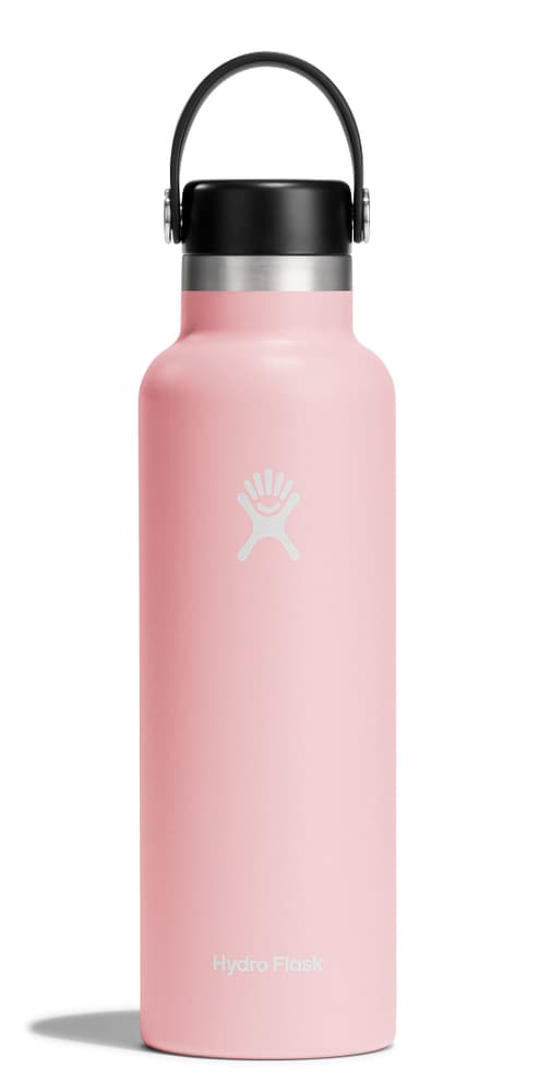 Standard Mouth 21 oz Gourde isotherme Hydro Flask 464613900038 Taille Taille unique Couleur rose Photo no. 1