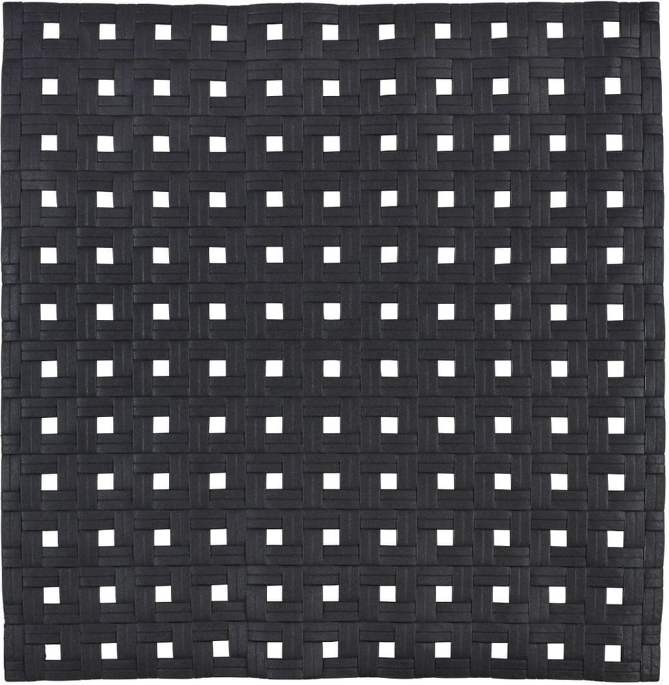 Tapis bain antidérapant Basky noir Tapis de baignoire diaqua 676862300000 Photo no. 1