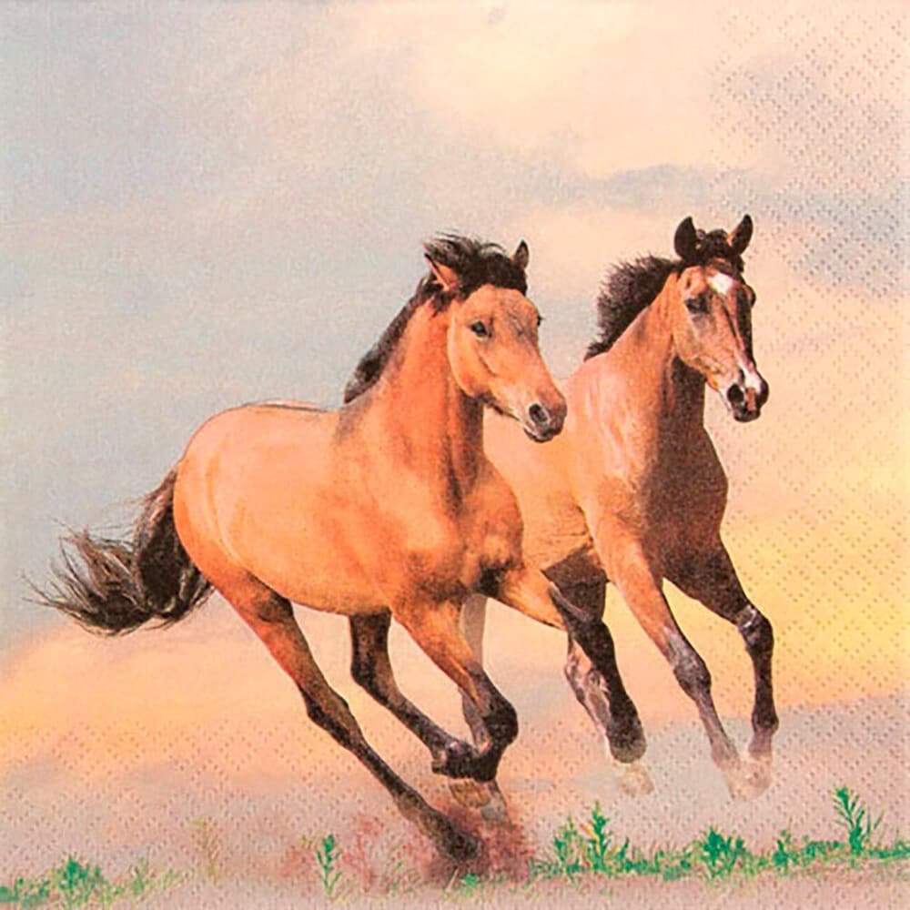 Wild horses Serviettes Feldner + Partner 667099300000 Photo no. 1