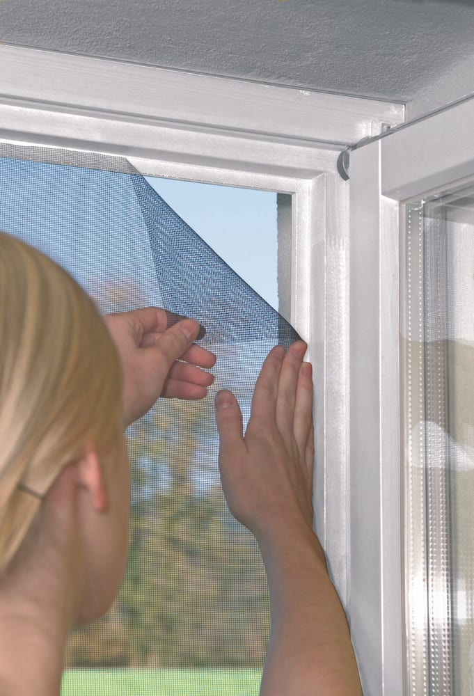 Windhager Fenster STANDARD Insektenschutz kaufen bei Do it + Garden