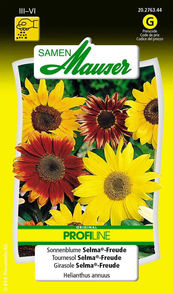 Tournesol Selma®-Freude Semences de fleurs Samen Mauser 650104104000 Contenu 1 g (env. 40 plantes ou 3 - 4 m²) Photo no. 1