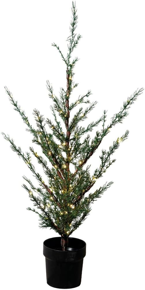 Weihnachtsbaum Milas, 150 cm, 150 LEDs, Grün Kunstbaum Sirius 785302412442 Bild Nr. 1